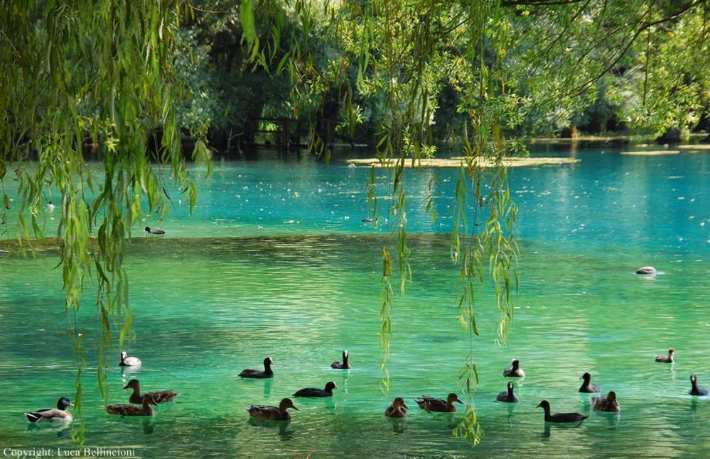 Casa Rosamari - Su Lago Di Posta Fibreno, Appartamento Con Camino Extérieur photo