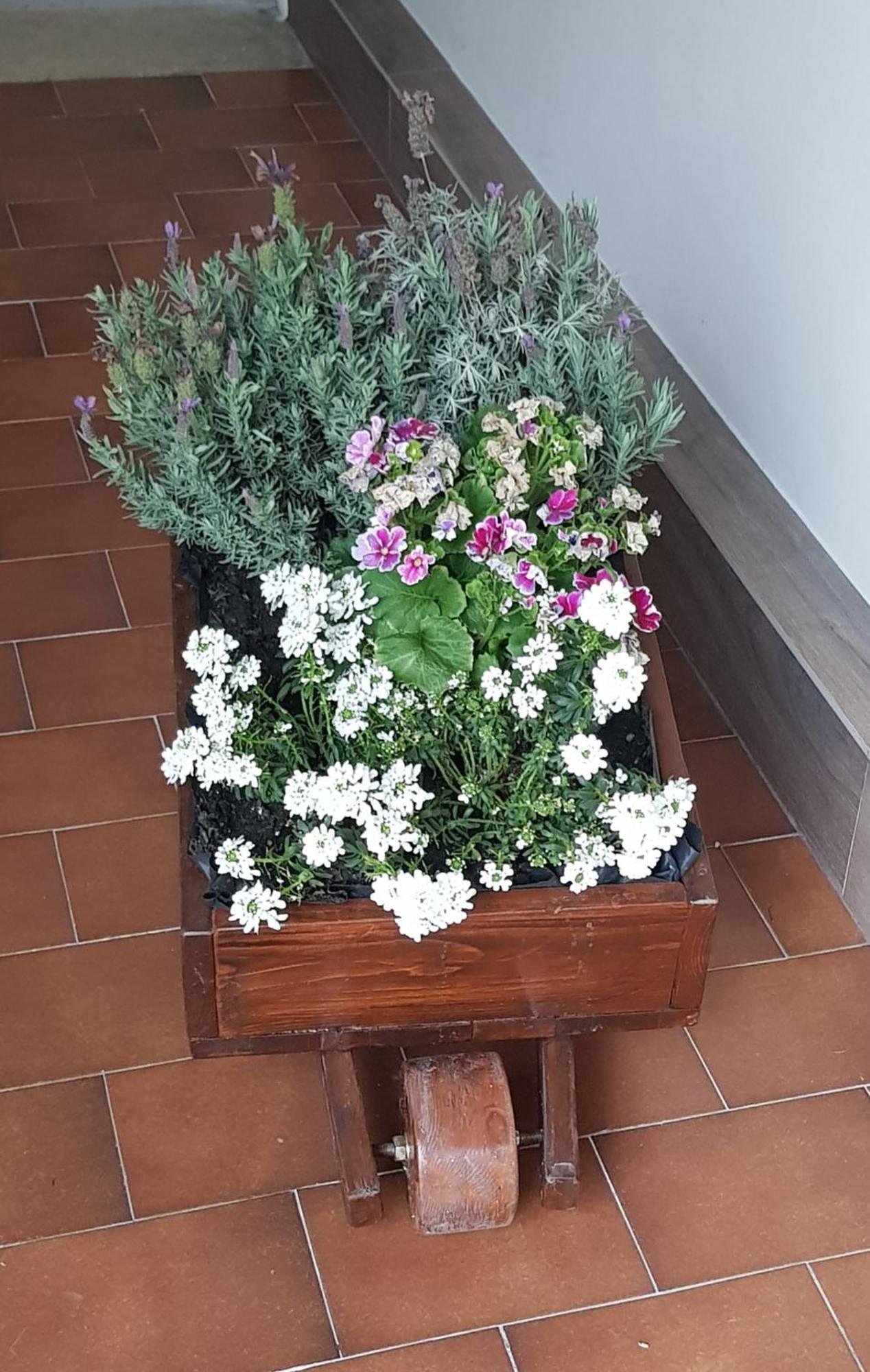 Casa Rosamari - Su Lago Di Posta Fibreno, Appartamento Con Camino Extérieur photo